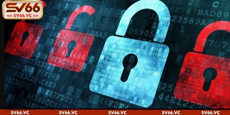 Hướng dẫn chi tiết cách khôi phục tình trạng quên mật khẩu SV66